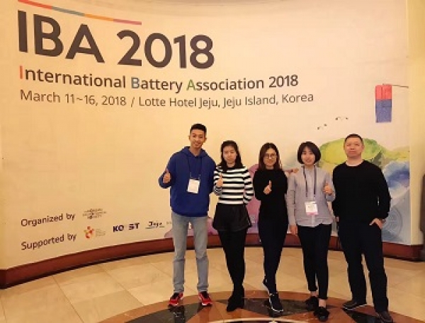 The International Battery Association 2018